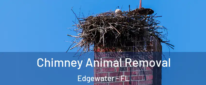  Chimney Animal Removal Edgewater - FL