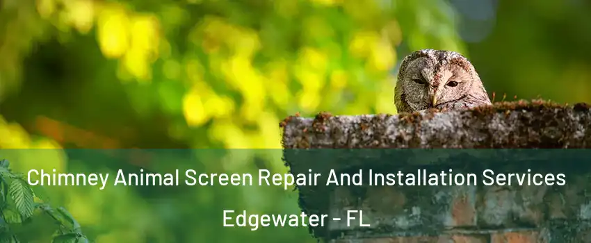  Chimney Animal Screen Repair And Installation Services Edgewater - FL