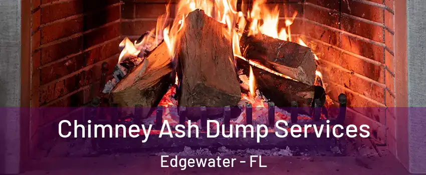  Chimney Ash Dump Services Edgewater - FL