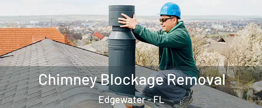  Chimney Blockage Removal Edgewater - FL