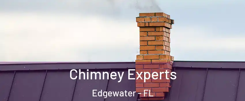  Chimney Experts Edgewater - FL