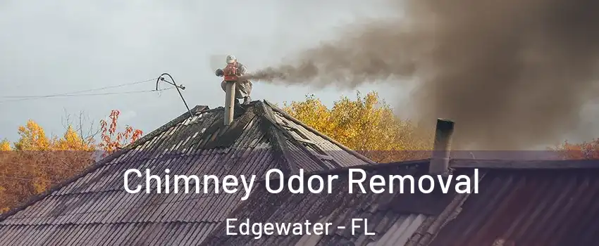  Chimney Odor Removal Edgewater - FL