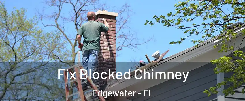  Fix Blocked Chimney Edgewater - FL