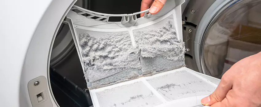 Best Dryer Lint Removal Company in Edgewater, Florida