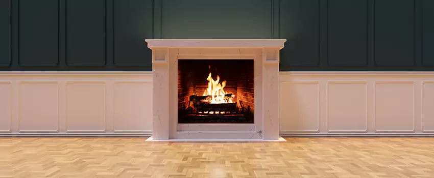 Napoleon Electric Fireplaces Inspection Service in Edgewater, Florida