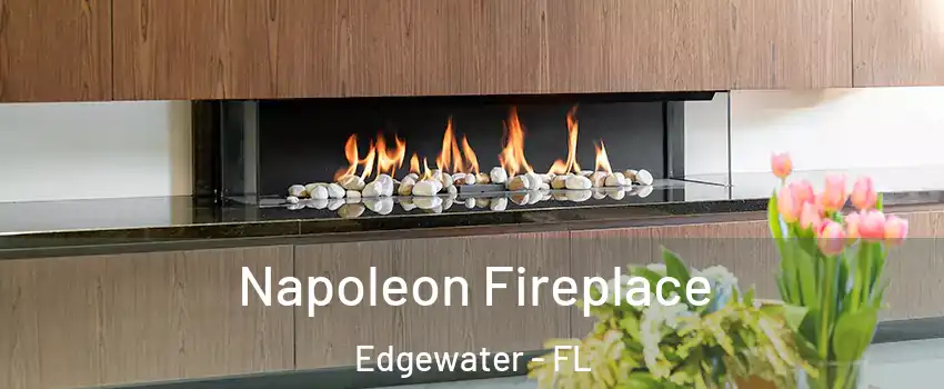  Napoleon Fireplace Edgewater - FL