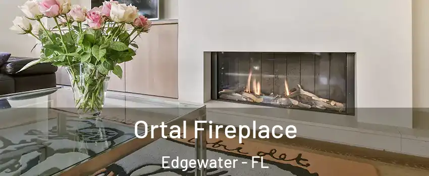  Ortal Fireplace Edgewater - FL